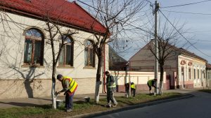 curatenie de paste (2)