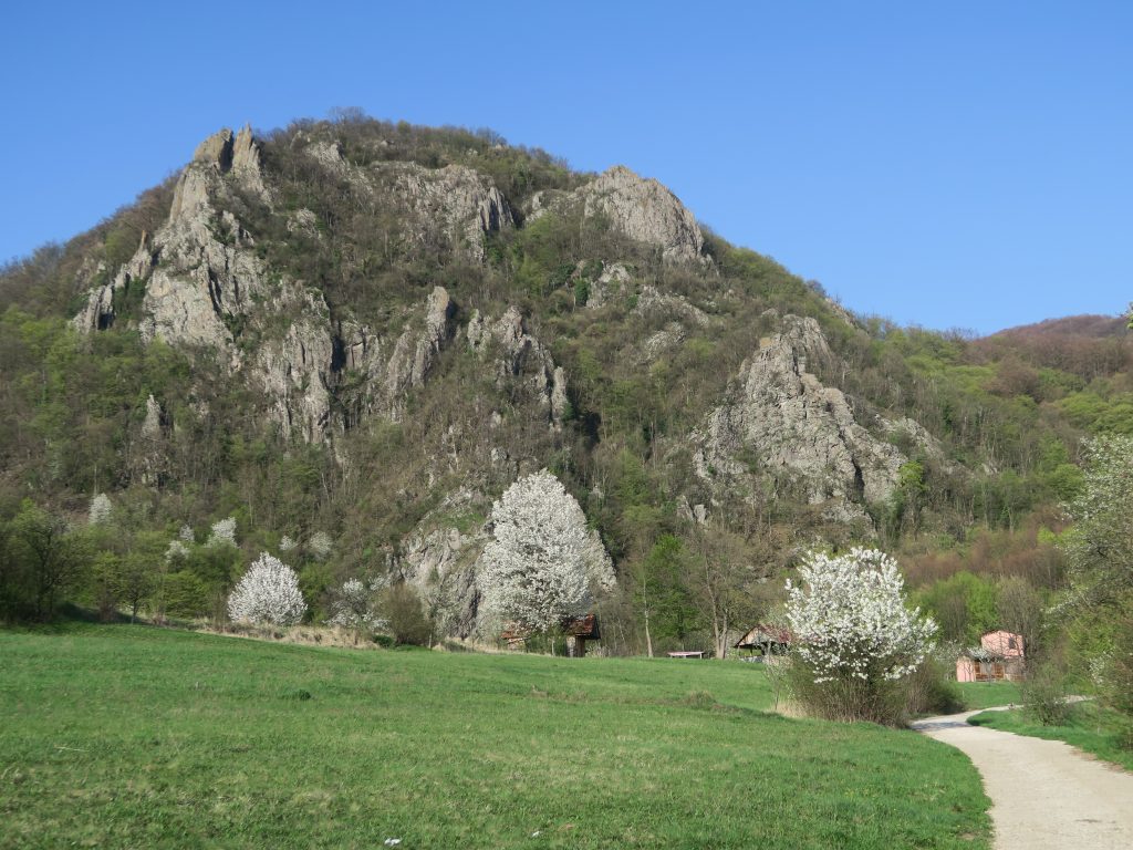 foto.2