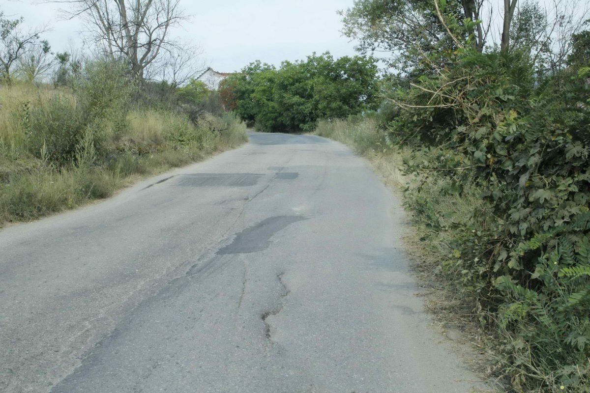 Drumul spre cea mai frecventată destinaţie estivală a Hunedoarei are „de toate” din categoria celor contraindicate: „valuri”, crăpături, bucăţi de asfalt lipsă, gropi în carosabil şi, în plus, spini şi crengi din belşug pe margini.