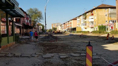 Copacii vechi au fost scoşi în doar cinci ore, iar plantarea altora noi este estimată pentru luna noiembrie a acestui an