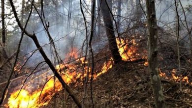 Un obicei vechi şi prost: foc de tabără şi resturi de candele în incinta sacră de la Feţele Albe, în vara lui 2013