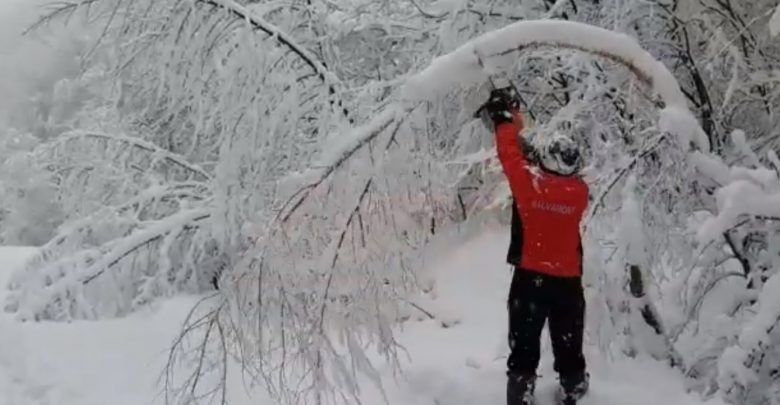 Salvamontiştii au fost nevoiţi să apeleze la drujbele din dotare şi să taie ei crengile de pe marginea drumului de acces în Râuşor. Problema liniei electrice rămâne în sarcina distribuitorului de energie