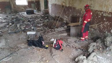 SURSA FOTO: ISU Hunedoara