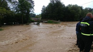 FOTO: Arhivă
